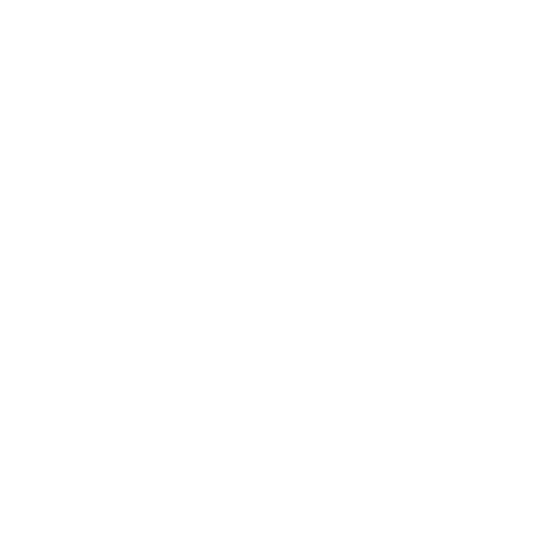 Visal International